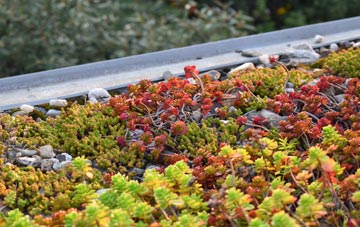 the cost of Mapperley green roof installation