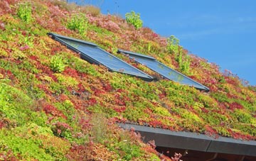 Mapperley living roof systems
