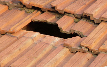 roof repair Mapperley
